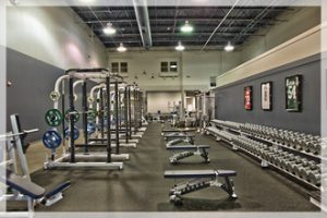 novi personal trainers