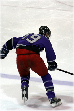 elite hockey trainer michigan