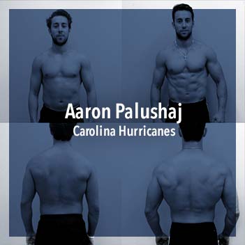 Aaron Palushaj, NHL