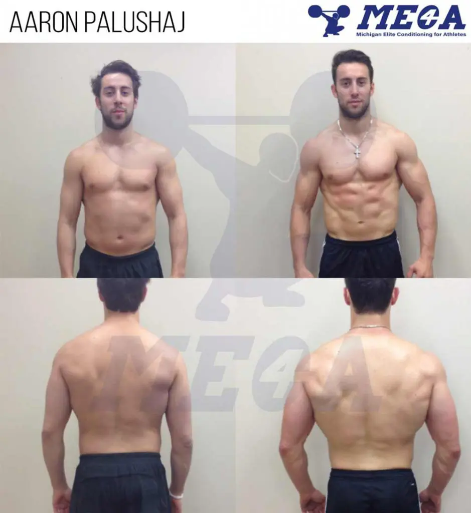 Aaron Palushaj who is Ice hockey right winger transformation at MECA