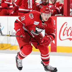 An image of Dave Wohlberg who is a professional ice hockey player taken during a game.